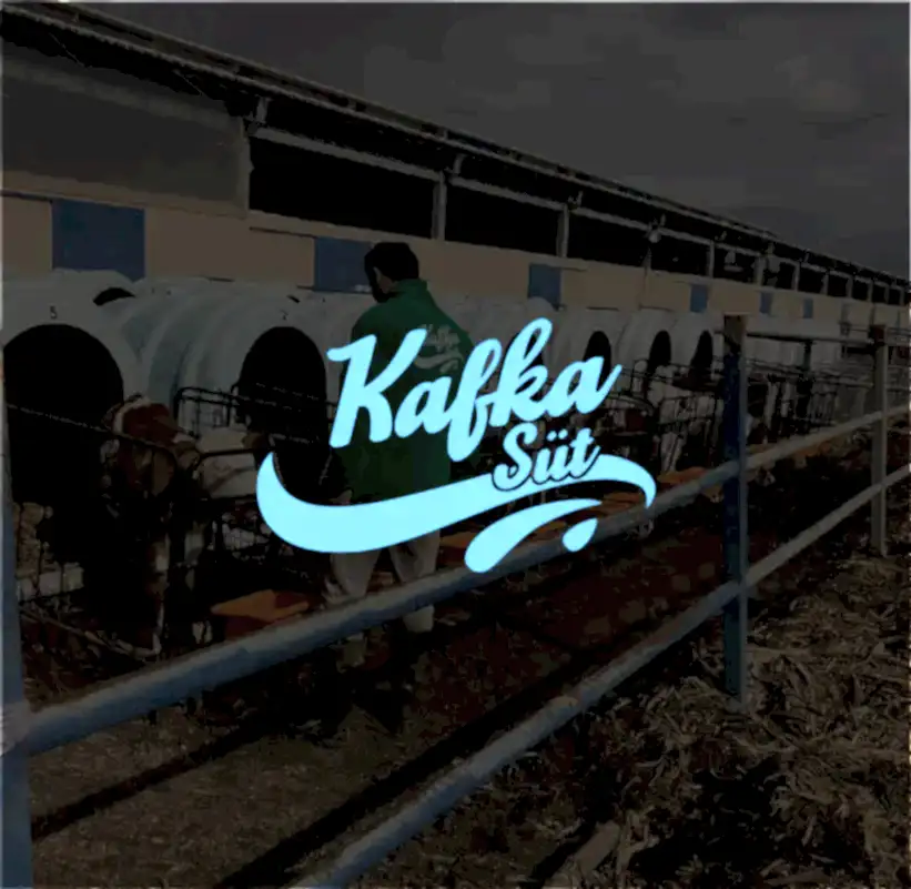 KAFKA SÜT